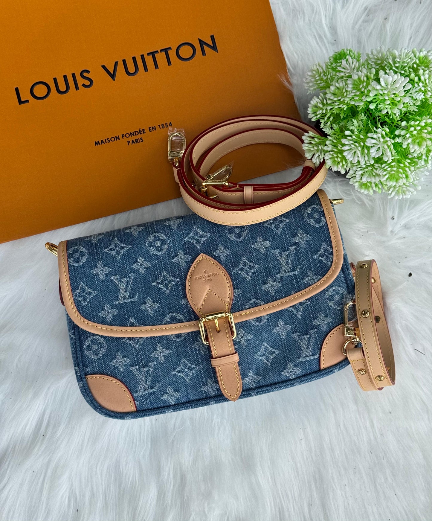 LV Diane Super master Quality with box and dust bag Size 24 Cm