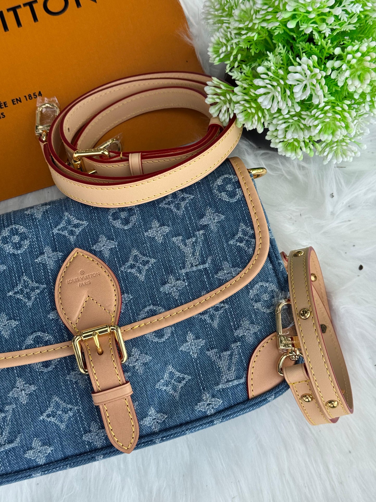 LV Diane Super master Quality with box and dust bag Size 24 Cm