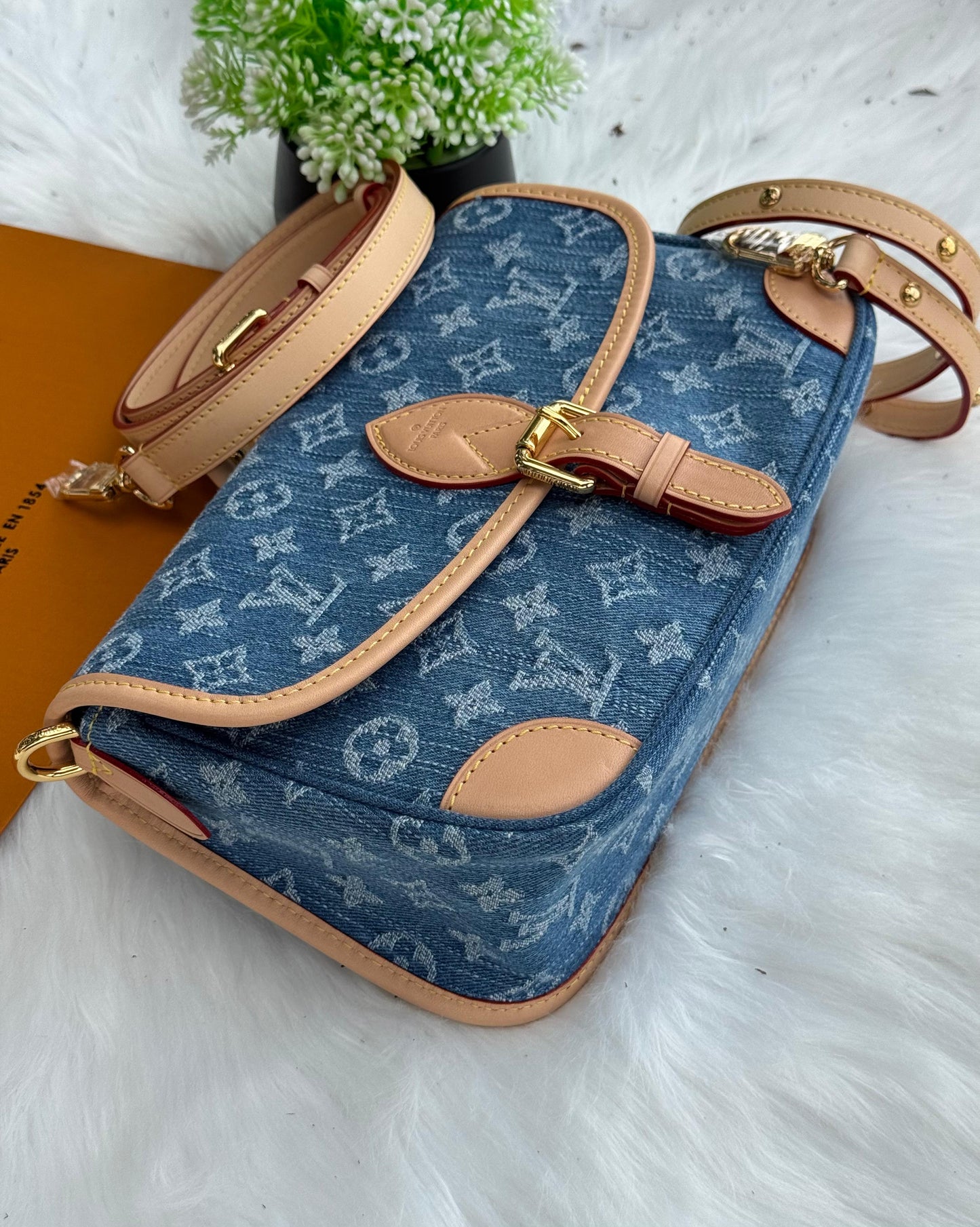 LV Diane Super master Quality with box and dust bag Size 24 Cm