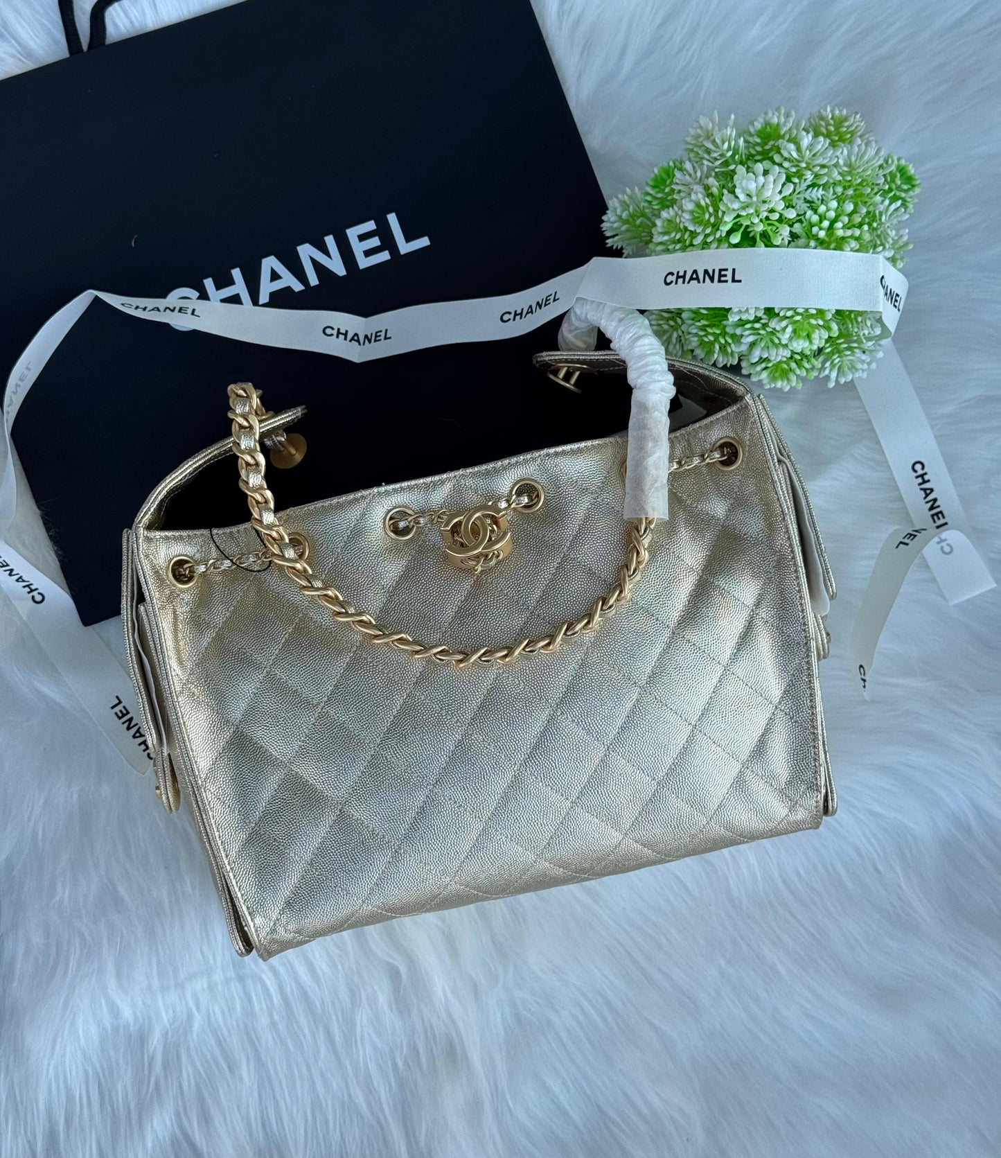 CHANEL Hobo mini Super master Quality with box and dust bag Size 25 Cm