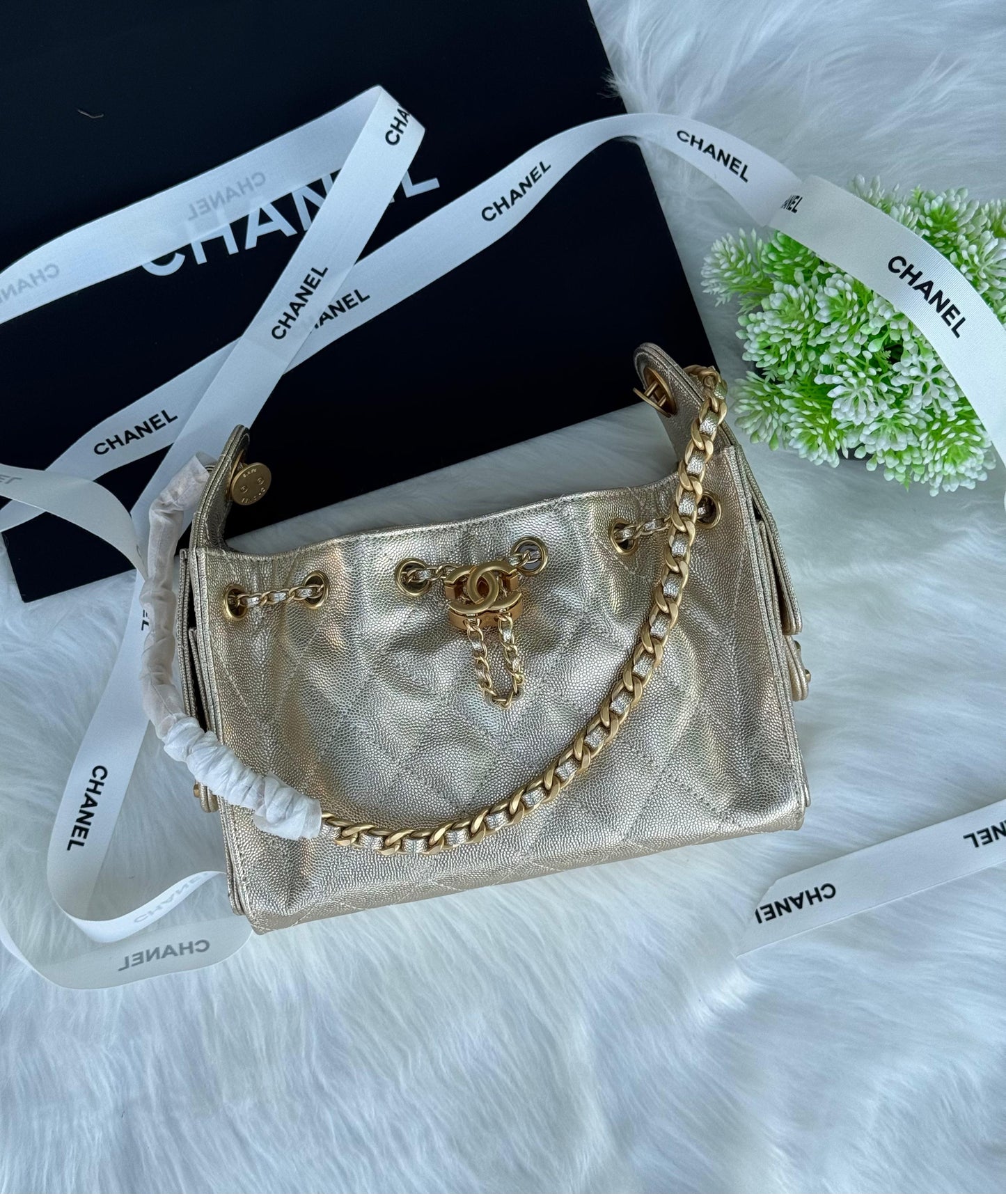 CHANEL Hobo mini Super master Quality with box and dust bag Size 22 cm