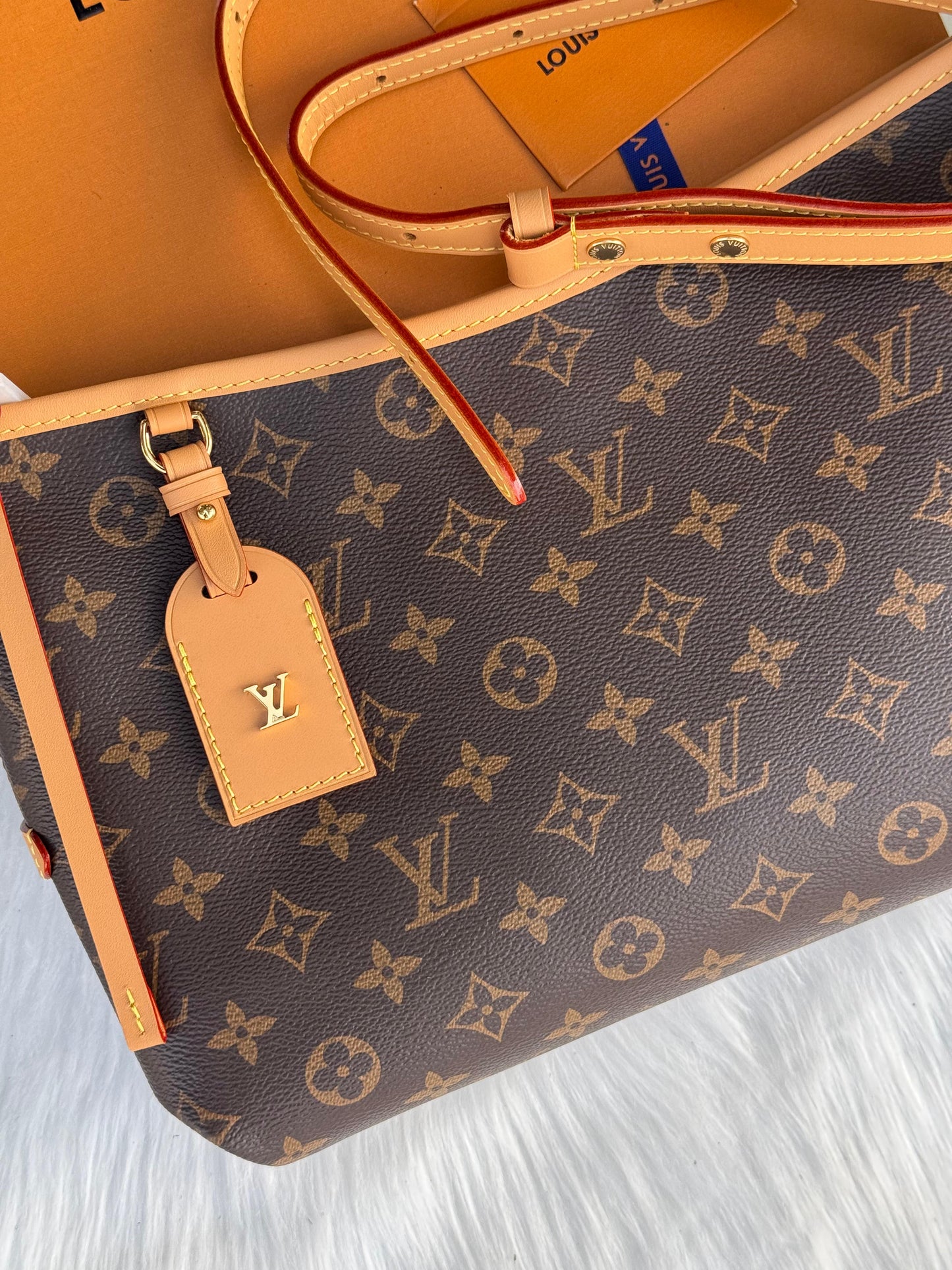 LV CarryAll East West Super master Quality with box and dust bag Size 19 Cm