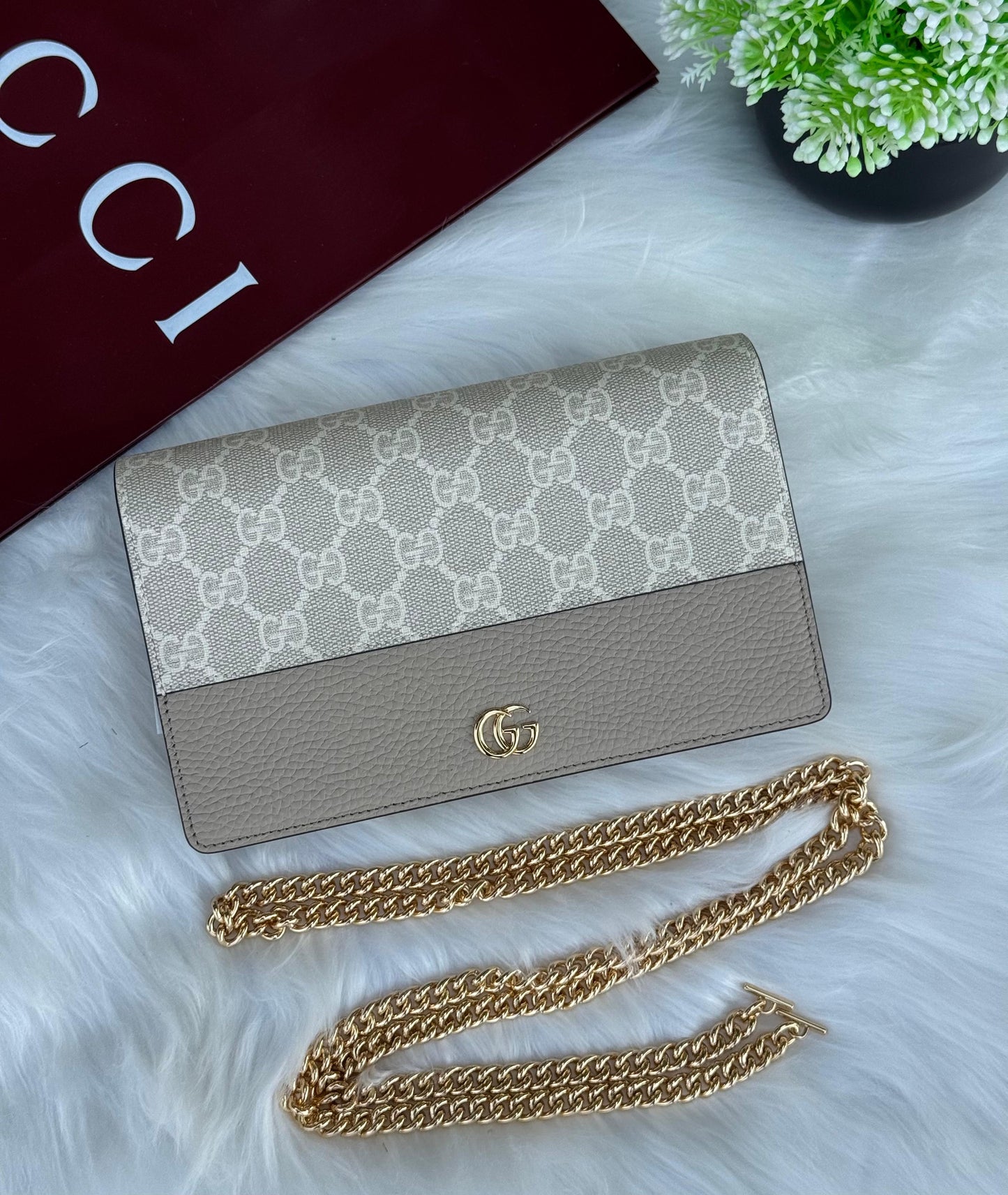 GUCCI Chain wallet Super master Quality with box and dust bag Size 20 Cm