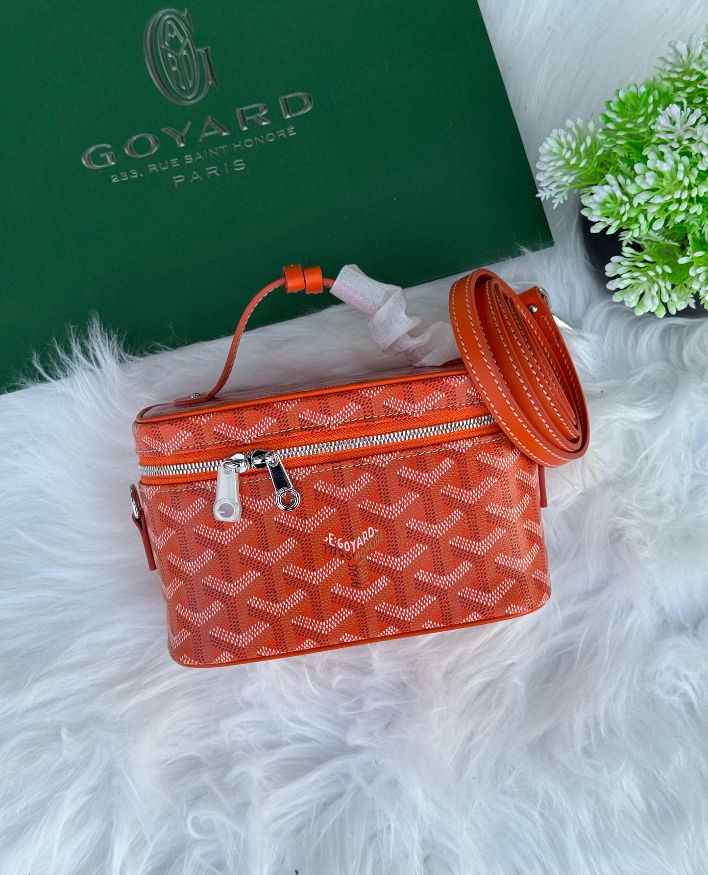 GOYARD Muse Vanity Super master Quality with box and dust bag